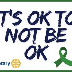 Garden Sign - It's ok to not Be ok